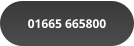 01665 665800